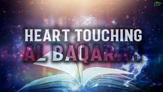 THE MOST HEART TOUCHING RECITATION OF SURAH BAQARAH [upl. by Dasie276]