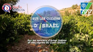 Sur les sentiers d’Amat Habiar et des vignes du Gush Etzion  KKL [upl. by Harte430]