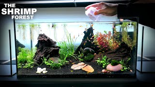 The Shrimp Forest NEW Shrimp Setup for Neocaridina Aquascape Tutorial [upl. by Marcelle76]