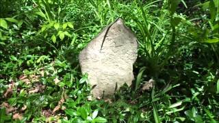 The Potters Grave in Dennis Hollow Cemetery in Valmeyer Illinois [upl. by Yzdnil]