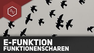 Funktionsscharen bei eFunktionen [upl. by Elokcin]