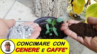 CONCIMARE CON LA CENERE E CAFFE [upl. by Bonita]