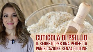 CUTICOLA DI PSILLIO LINGREDIENTE SEGRETO NELLA PANIFICAZIONE SENZA GLUTINE cosè come si usa [upl. by Yelyab791]