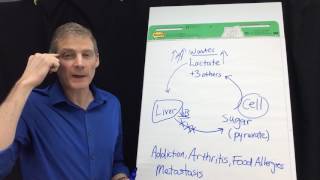 4 Separate Diseases All Related by the Same Mechanism Lactic Acidosis [upl. by Ocsinarf]