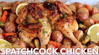 Roasted Spatchcock CHICKEN Recipe  ONE PAN Chicken Dinner [upl. by Palecek]