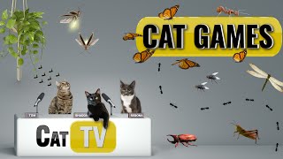 CAT Games  Ultimate Cat TV Bugs and Butterflies Compilation Vol 7 🐝🐞🦋🦗🐜  Videos For Cats to Watch [upl. by Annej486]