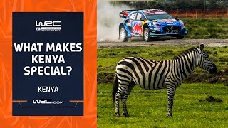 What Makes Kenya So Special 🦓  WRC Safari Rally Kenya 2024 [upl. by Kennet]