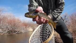 Fly Fishing the Little Laramie River [upl. by Holbrooke480]