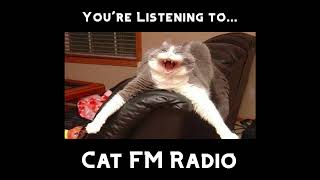 Cat FM Radio  Broadcast One [upl. by Doretta252]