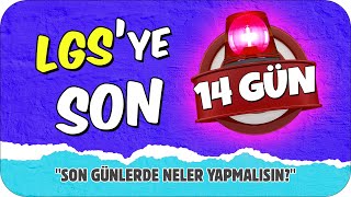 LGSye SON 14 GÜN 💥 Son Günlerde Neler Yapılmalı 🤔 [upl. by Shafer11]