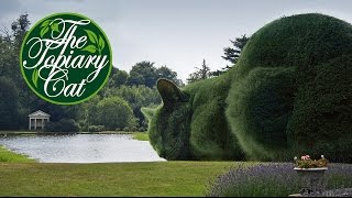 The Topiary Cat  How It All Began [upl. by Mera]