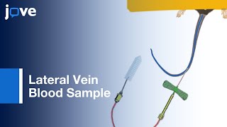 Sampling Blood from the Lateral Tail Vein of the Rat [upl. by Icyaj]