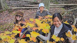 Vlog156 Visiting At Lumbermans Monument and Iargo Spring AUTUMN 2024 [upl. by Varipapa193]