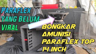 Review Paraflex Top 14 inch amp Horn Twiter [upl. by Yenittirb]