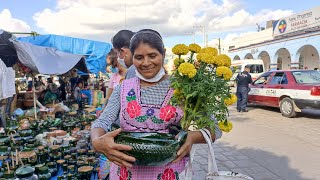 Voy a la plaza de Ocotlán hacer mis compras probé el Mezcal Artesanal y gusanos de maguey muy rico [upl. by Ddahc]