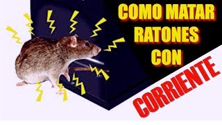 Como Electrocutar Ratas [upl. by Henghold]