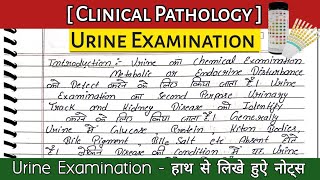 urine examination  urine test  urine examination in hindi  dmlt class in hindi urine dmlt bmlt [upl. by Severson]