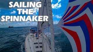 How To Sail The Spinnaker  S3E30 [upl. by Lehpar608]