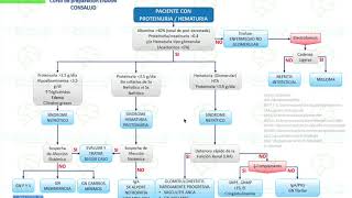 TIPS ENARM  ABORDAJE DE GLOMERULOPATIAS [upl. by Ahsercel395]