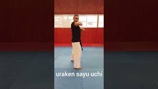 Uraken Sayu Uchi  Karate Kyokushin [upl. by Mollee]