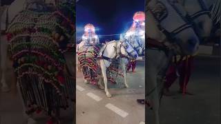 Gori khol darwaja piche barati age bandbaja song dance [upl. by Adiaroz]