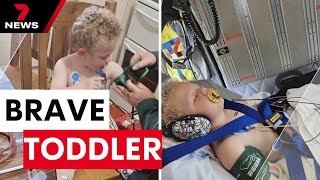 Adelaide toddler survives snake bite after alerting shocked mother  7NEWS [upl. by Yeleak827]