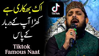 ik bhikari hai khara aap ke darbar ke paas Zohaib Ashrafi Naat  Tiktok famous naat sharif 2024 [upl. by Aihsenek]