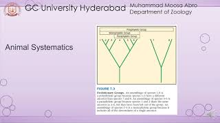 Animal systematics [upl. by Ahiel]