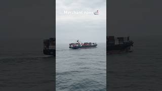 Types of ship in merchant Navy🛳️☠️✅ ship ship shortvideo [upl. by Anina]