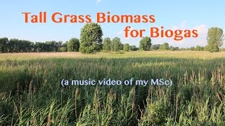 Tall Grass Biomass for Biogas Music Video of my MSc [upl. by Wayne]