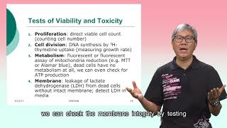 Cytotoxicity Assays 2 How to perform cytotoxicity assays [upl. by Rodmann]