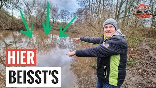 GENAU HIER musst Du ANGELN GREWALD verraten die HOTSPOTS AM FLUSS [upl. by Harobed]