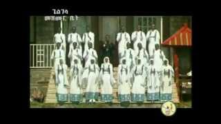 Zemari Fekadu Amare ዘማሪ ፈቃዱ አማረ Enamesegenehalen [upl. by Angadresma]