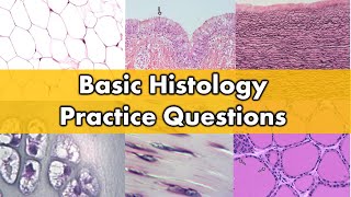 Histology for Beginners [upl. by Eilla]