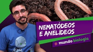 🐍 Zoologia 26 Nematódeos e Anelídeos  Biologia  ENEM [upl. by Sapers]