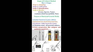 Stage of Bacterial Culture Methods and Purpose of Bacterial Growth Media geneticteacher [upl. by Mendes]