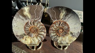 Amonita Madagascar Fosil Ammonite 2 Piezas Premium [upl. by Iadrahc]