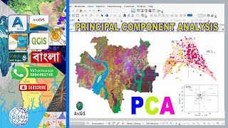 PCA  Principal Component Analysis in ArcGIS  How to perform principal component analysis [upl. by Yesdnik]