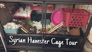 Syrian Hamster Cage Tour Lumos  Midwest Critter Nation [upl. by Hareehat]