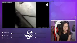 Staryuuki reacciona a vídeo de DED [upl. by Enyal741]