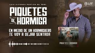 Luis Alfonso Partida quotEl Yakiquot  Piquete de hormiga Video Lyric [upl. by Gaylor]