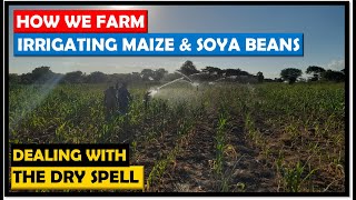 Farming in Zambia How We Irrigated Our Maize and Soya Beans Crops During the Long Dry Spell [upl. by Hacceber]