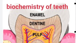 biochemistry of teethrole of saliva on teethproteins of enamel [upl. by Dihsar]