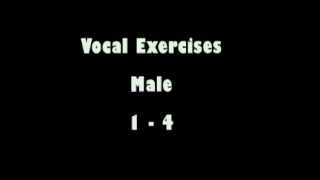 Vocal Exercises Male 14 [upl. by Enelrihs]