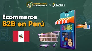 Ecommerce B2B en Perú Situación 20232024 [upl. by Cissie30]