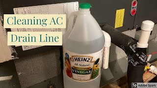 How to Use quotZep Drain Carequot  Enzyme Drain Pipe Cleaner [upl. by Ateekram]