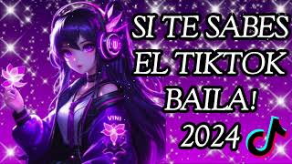 si te sabes el tiktok baila  2024 [upl. by Minette]