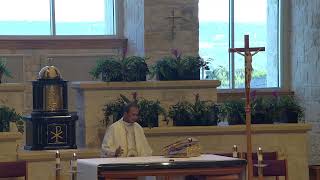 Memorial of St Jerome Monday Sept30 2024 800am Holy Mass with Fr Chinnappan Arockiasamy [upl. by Lenna171]