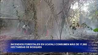 INCENDIOS FORESTALES EN UCAYALI CONSUMEN MÁS DE 17000 HECTÁREAS DE BOSQUES [upl. by Curkell]