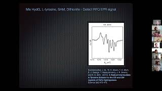 Hydrogenase Lectures 2022 Episode 3 Part 1 Dave Britt [upl. by Einegue]